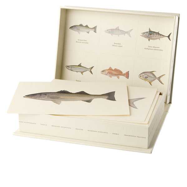 Saltwater Fish of the Gulf & Atlantic Playing Cards