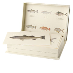 Saltwater Gamefish Eighteen Card Set