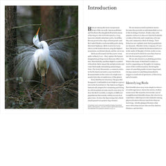 Smithsonian Field Guide to the Birds of North America