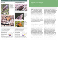 Smithsonian Field Guide to the Birds of North America