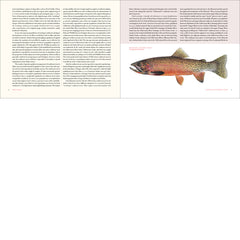 About Trout: The Best of Robert Behnke from Trout Magazine