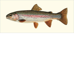 Trout of North America Eighteen Card Set