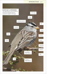 American Birding Association Field Guide to Birds of Colorado