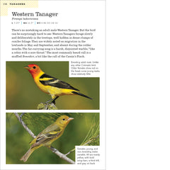 American Birding Association Field Guide to Birds of Colorado