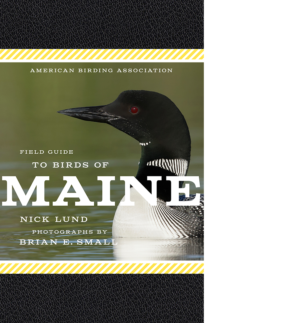 American Birding Association Field Guide to Birds of Maine