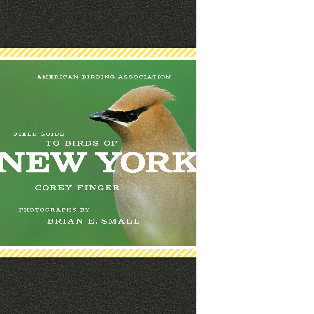 American Birding Association Field Guide to Birds of New York