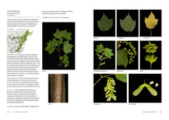 Smithsonian Trees of North America