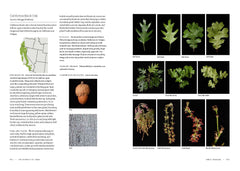 Smithsonian Trees of North America