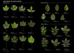 Smithsonian Trees of North America