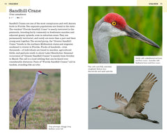 American Birding Association Field Guide to Birds of Florida Second Edition