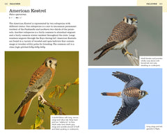 American Birding Association Field Guide to Birds of Florida Second Edition