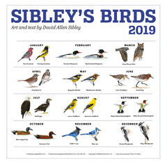 Sibley's Birds 2019 Calendar