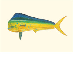 Bluewater Gamefish Eighteen Card Set