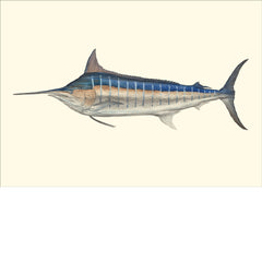 Bluewater Gamefish Eighteen Card Set