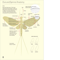 The Mayfly Guide