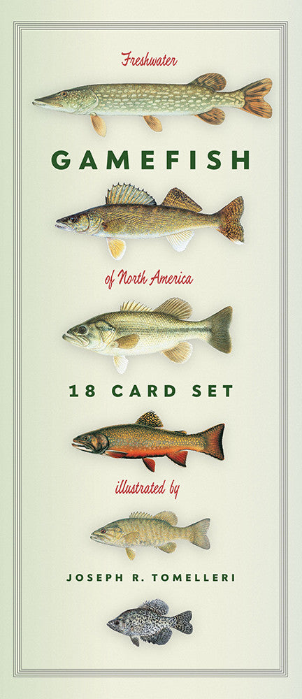 Freshwater Gamefish of North America 18 Card Set – Scott & Nix