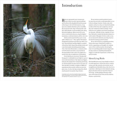 Smithsonian Field Guide  to the Birds of North America