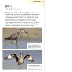 American Birding Association Field Guide to Birds of New Jersey