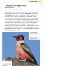 American Birding Association Field Guide to Birds of Colorado