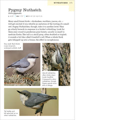 American Birding Association Field Guide to Birds of Colorado